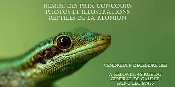 Remise des prix du concours photos et illustrations reptiles de la Réunion