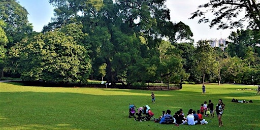 New Year's Day Special: Garden in a City - Singapore Botanic Gardens Stroll