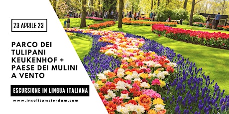 Visita parco dei tulipani e mulini a vento in ITALIANO - 23 aprile 2023