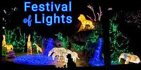 T-Cincinnati Zoo Festival of Lights_FLD