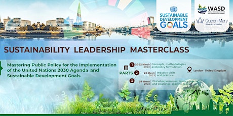 Mastering Public Policy for the Implementation of the United Nations SDGs