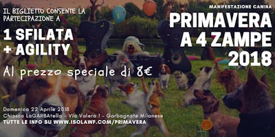 Primavera a 4 Zampe 2018 Primavera a 4 Zampe 2018