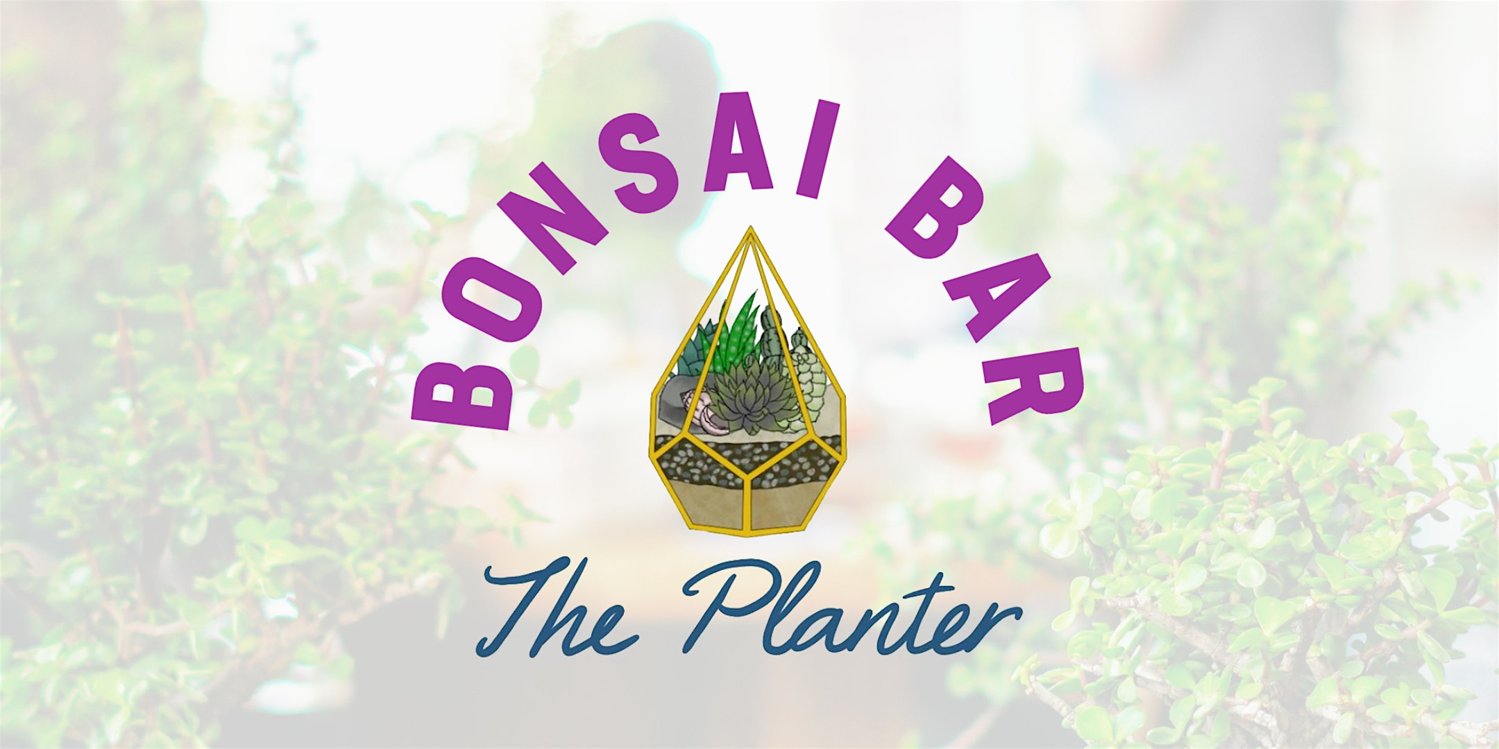 Bonsai Bar @ The Planter
