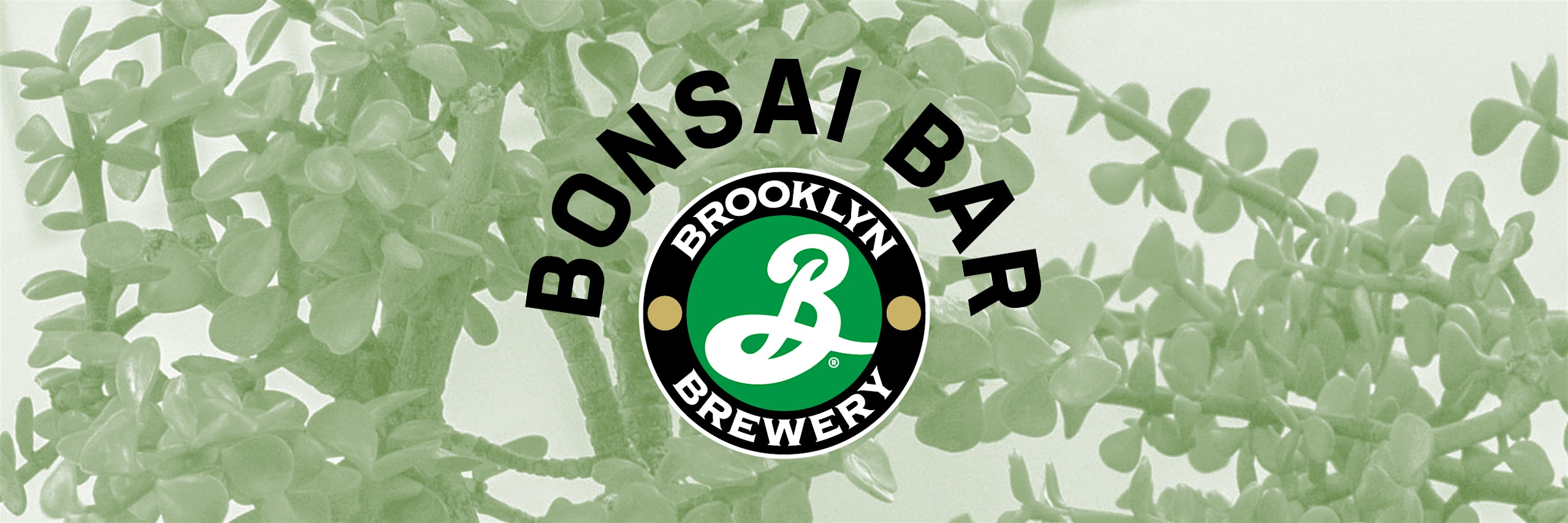 Bonsai Bar @ Brooklyn Brewery