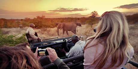 National Geographic Journeys: Kruger National Park - A Photographer's Experience primary image