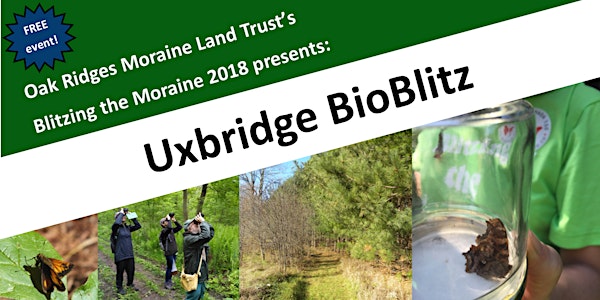 Blitzing the Moraine 2018! Uxbridge BioBlitz