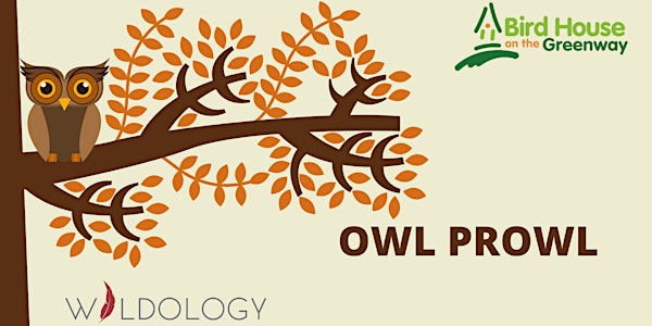 Jan 7 Owl Prowl