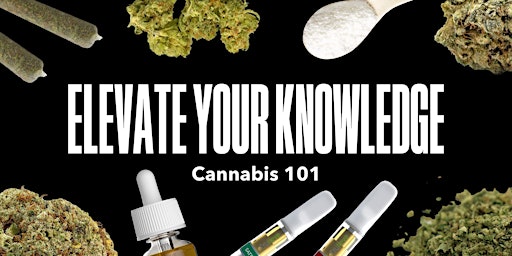 Elevate your Knowledge - Cannabis 101