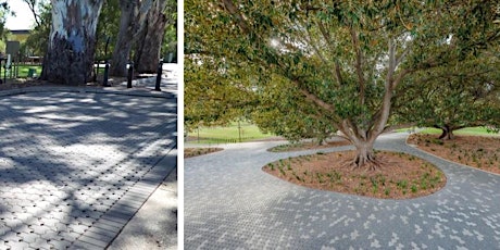 Permeable paving & infiltration systems primary image