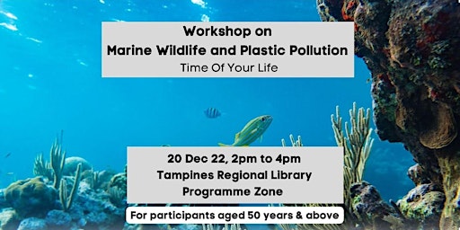 Workshop on Marine Wildlife and Plastic Pollution | Time Of Your Life