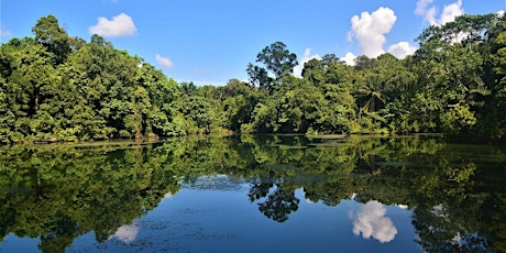 Singapore Idyll - Lower Peirce Reservoir Ramble