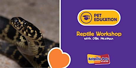 Imagen principal de Reptiles Workshop