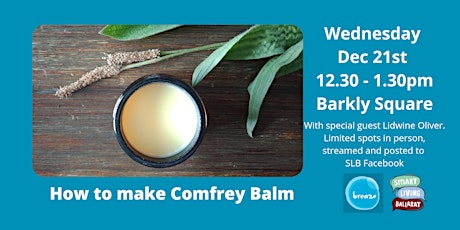 Make Your Own Comfrey Balm - SLB December primary image
