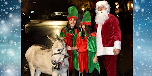 Pip the Donkey Saves Christmas