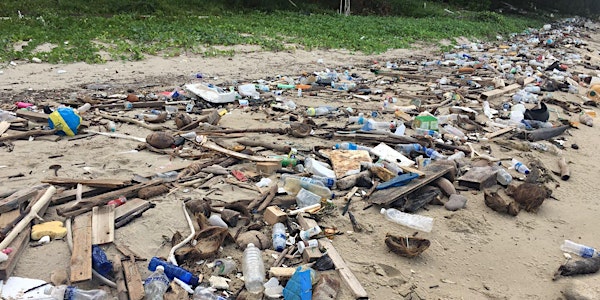 Marine trash sampling at Tanah Merah Ferry Terminal Beach on 25 Feb 2018 (Sun)