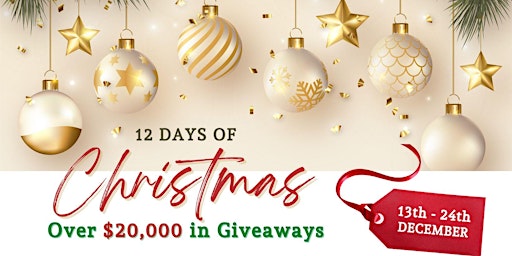 12 Days of Christmas Giveaways - Over $20,000 in Giveaways