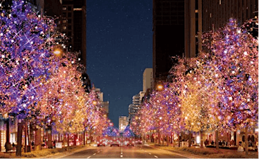 Osaka's Festival of Lights - Postcards and Chat 