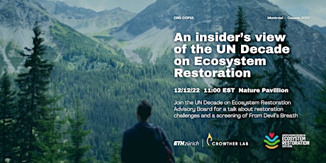 Online: An insider’s view of the UN Decade on Ecosystem Restoration