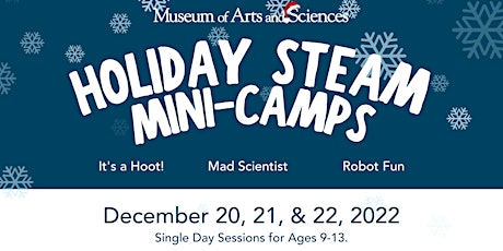 Mad Scientist Holiday STEAM Mini-Camp