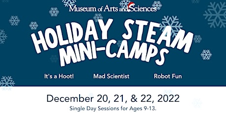 Robot Fun Holiday STEAM Mini-Camp
