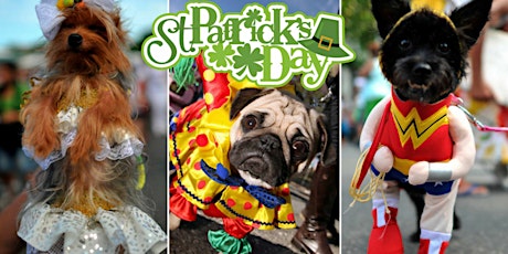 St. Patrick's Day DOG Parade primary image