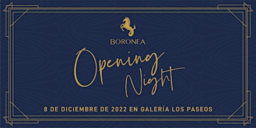 Boronea Opening Night en Galería Paseos
