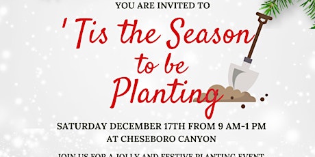 Tis The Planting Season! Restoration at Cheseboro Canyon