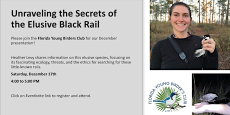 Jay Chat- Unraveling the Secrets of the Elusive Black Rail