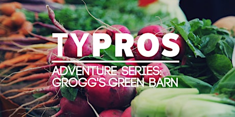 TYPros Adventure Series: Grogg's Green Barn primary image