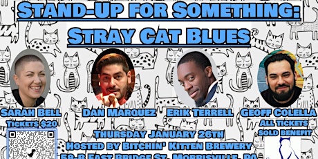 Stand-Up for Something: Stray Cat Blues
