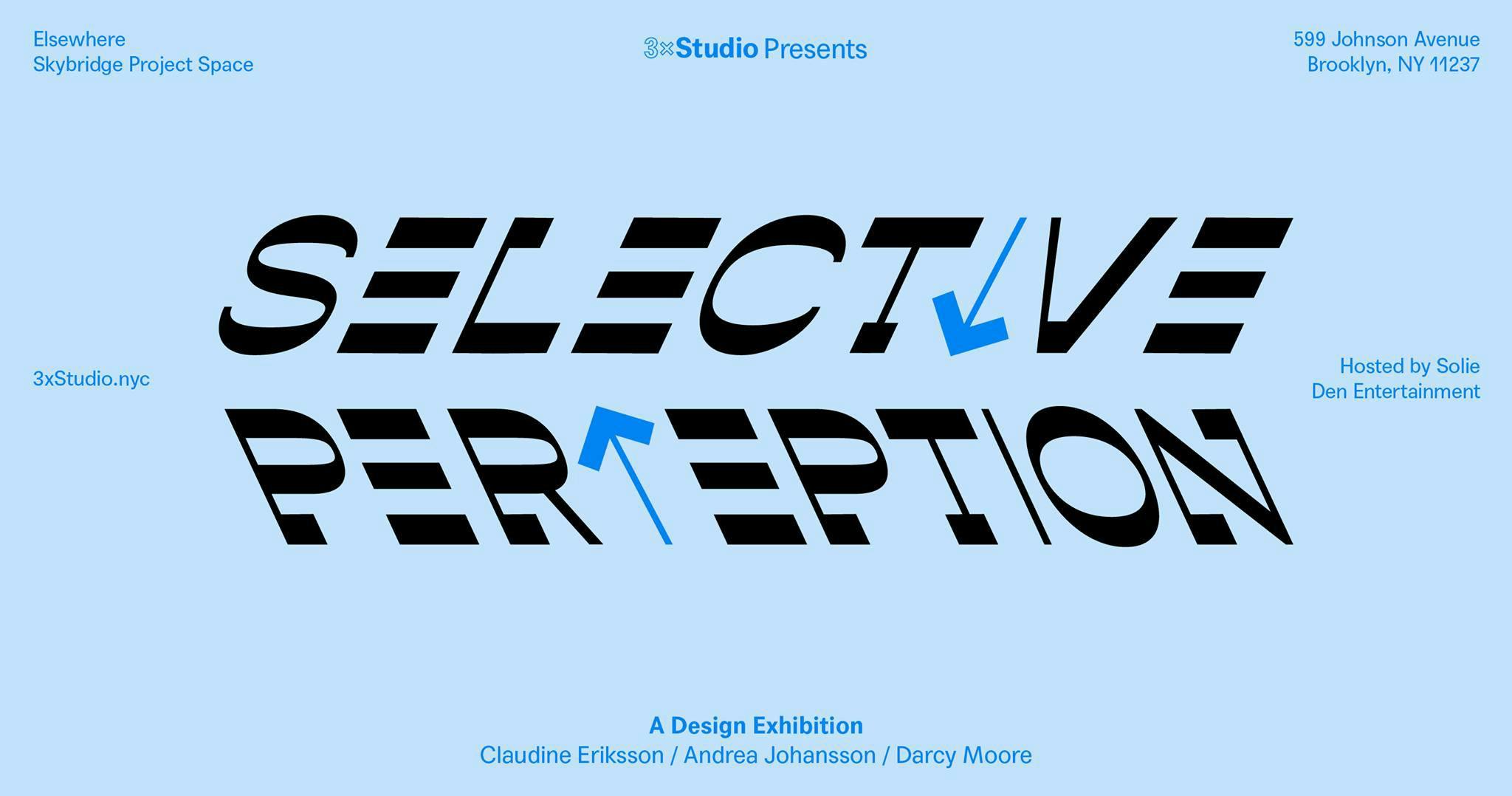 Selective Perception Closing Party