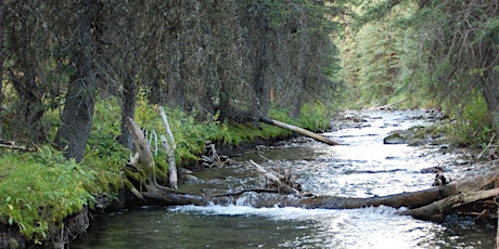 Westslope Cutthroat Trout 2018 Workshop primary image