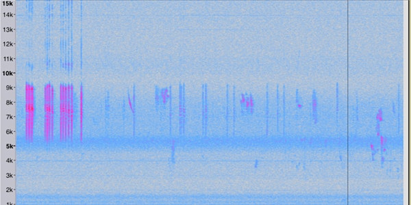 IoT and Urban Soundscapes: Nature-SmartCities and Edinburgh CitySounds