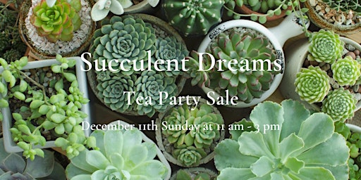 Succulent Dreams Tea Party Sale