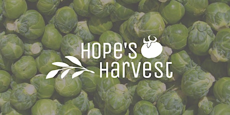 Gleaning with Hope's Harvest Thursday, December 8th 11:00AM-1:00PM