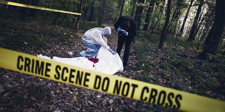 criminal detective criminal detective