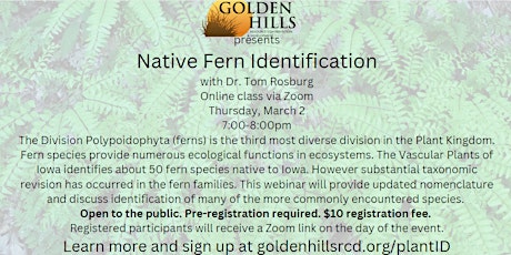 Native Fern Identification