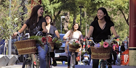 Centro Histórico Biking Experience with Selina Baika Rool in Mexico City