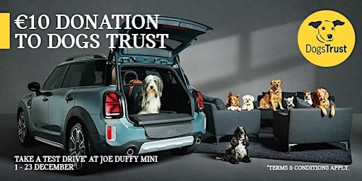 Joe Duffy MINI - Dog's Trust Fundraising Test Drive Event