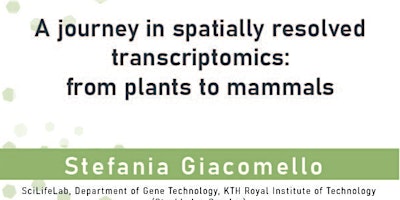 A journey in spatially resolved transcriptomics: from plants to mammals