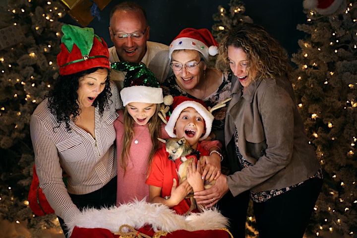 Saving Santa  - Immersive Photo Experience image