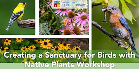 Creating a Sanctuary for Birds with Native Plants Workshop