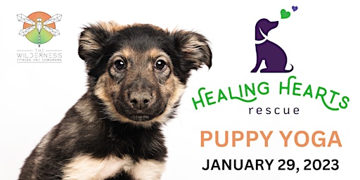 Puppy Yoga with Healing Hearts Rescue @ The Wilderness Fitness & Coworking