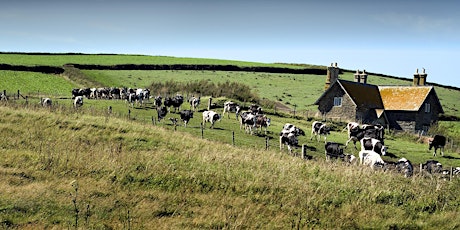 The Future of the Farmed Environment in Cornwall (free conference) primary image