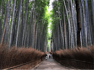 Arashiyama's Shopping Streets, River and Bamboo Forest 