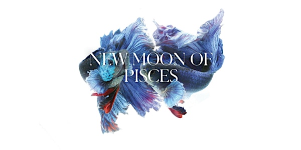 New Moon of Pisces!