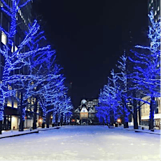 Sapporo, Japan Christmas Market and Winter Illumination