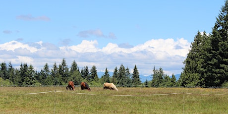 Pastures, Hooves, and Health primary image