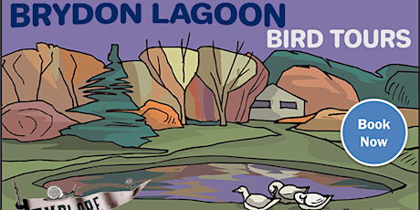 Bird Tour of Brydon Lagoon
