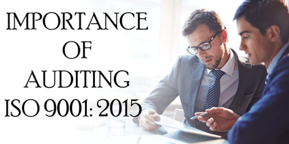 importance of auditing importance of auditing